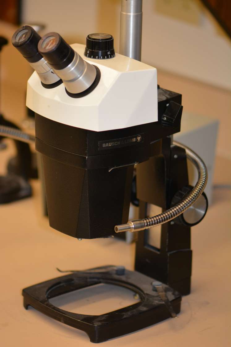 The Bausch & Lomb/Leica StereoZoom Microscope offers a .67x-4.0x magnification range.